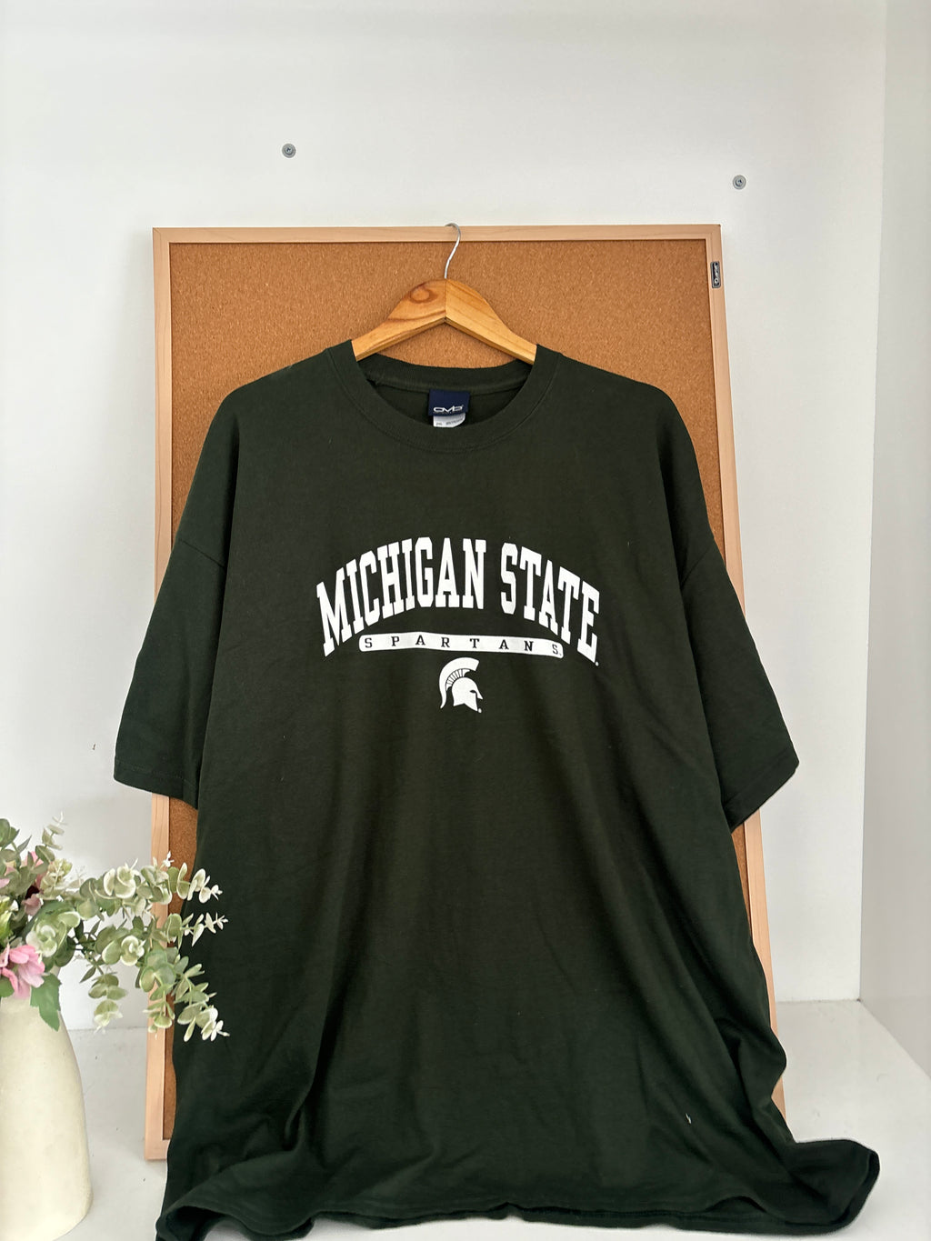 Graphic tshirt