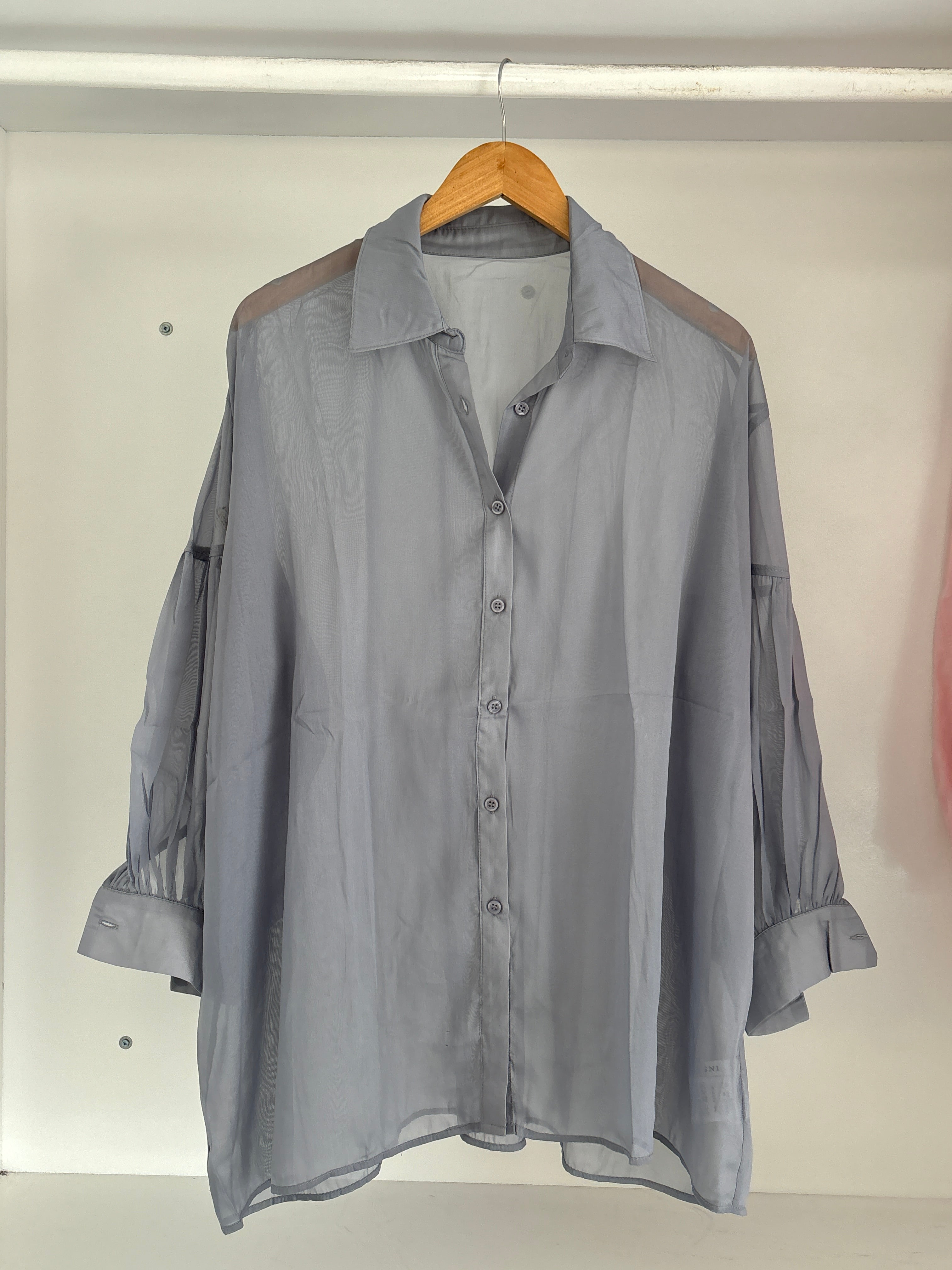 Sheer shirt