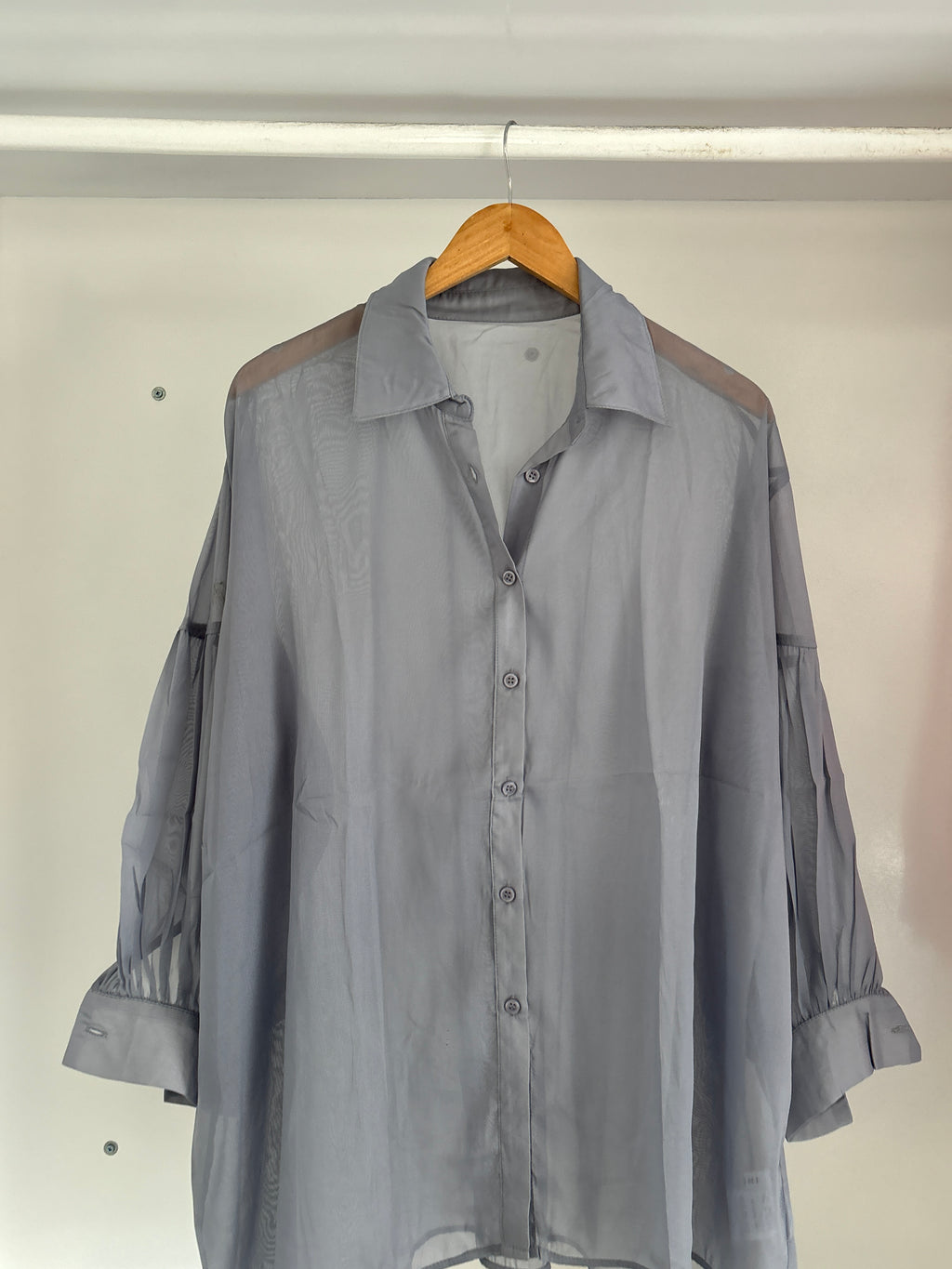 Sheer shirt