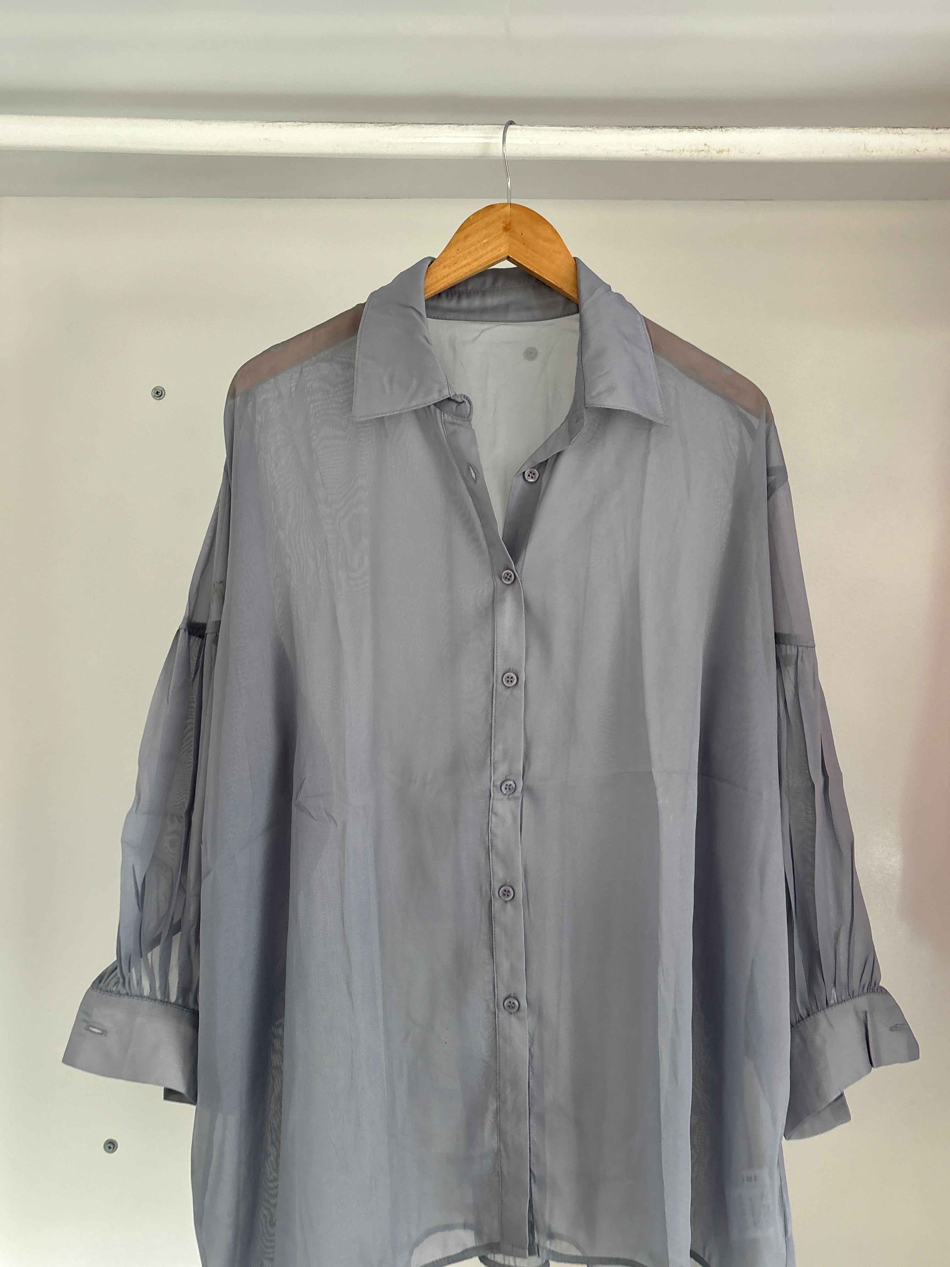 Sheer shirt