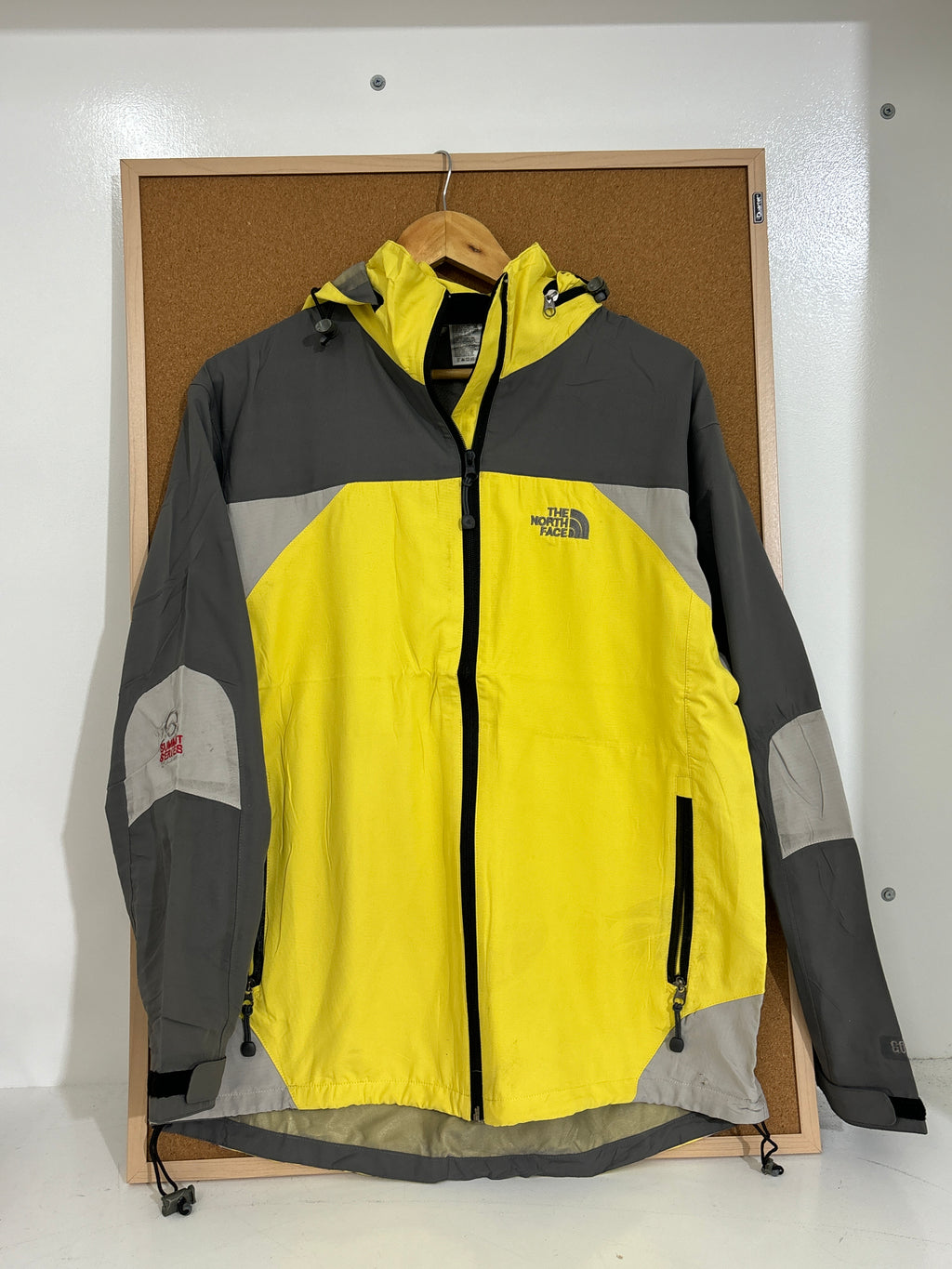 The North face summit series jacket